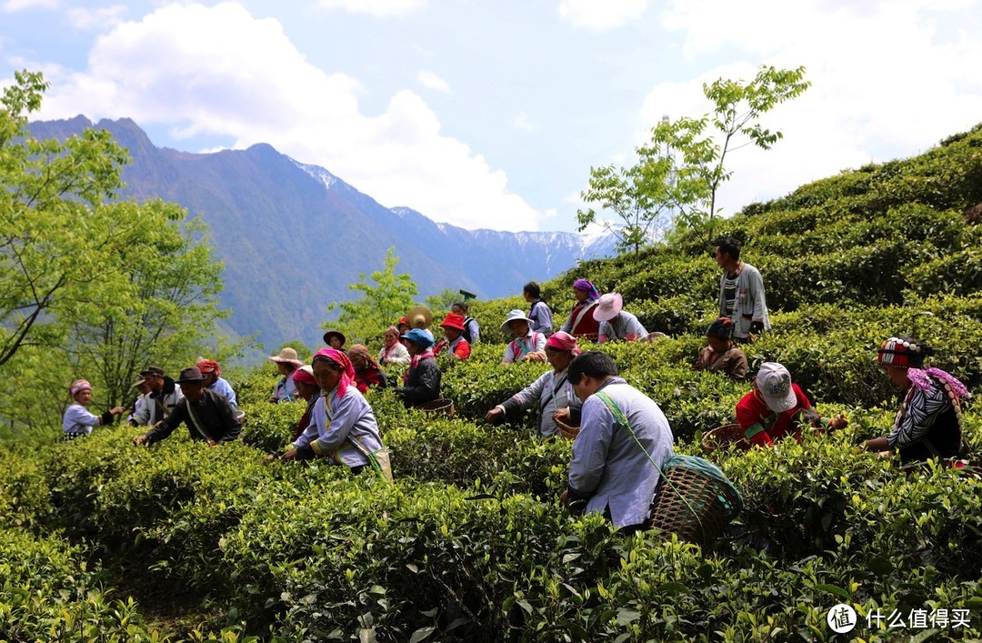 亞朵集團ESG報告聚焦綠色運營，創新探索酒店行業可持續發展
 